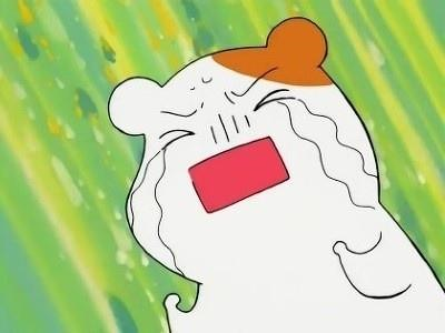 베어글 이미지