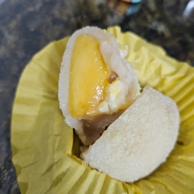모찌의숲 이미지
