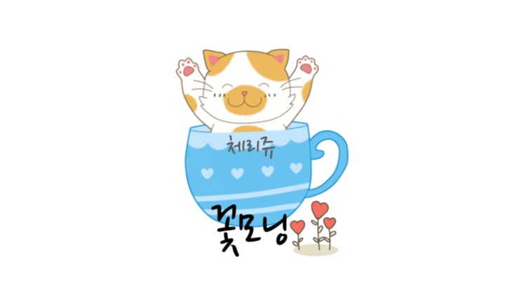 모닝스타 이미지