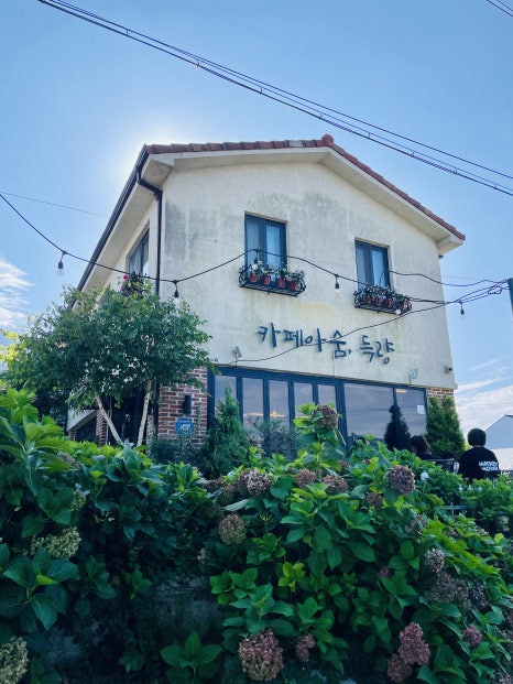 카페아숨,득량 이미지