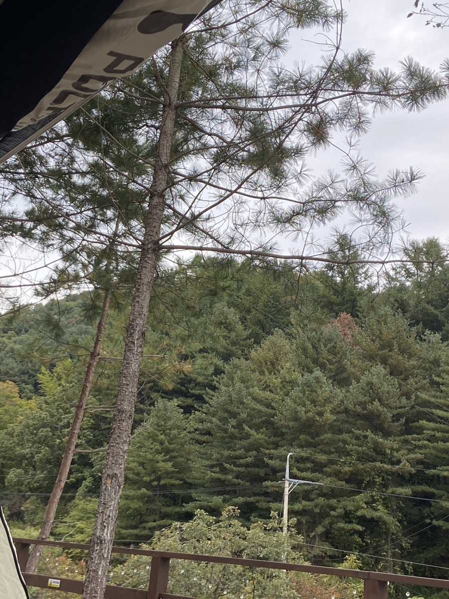 우디안캠핑 이미지