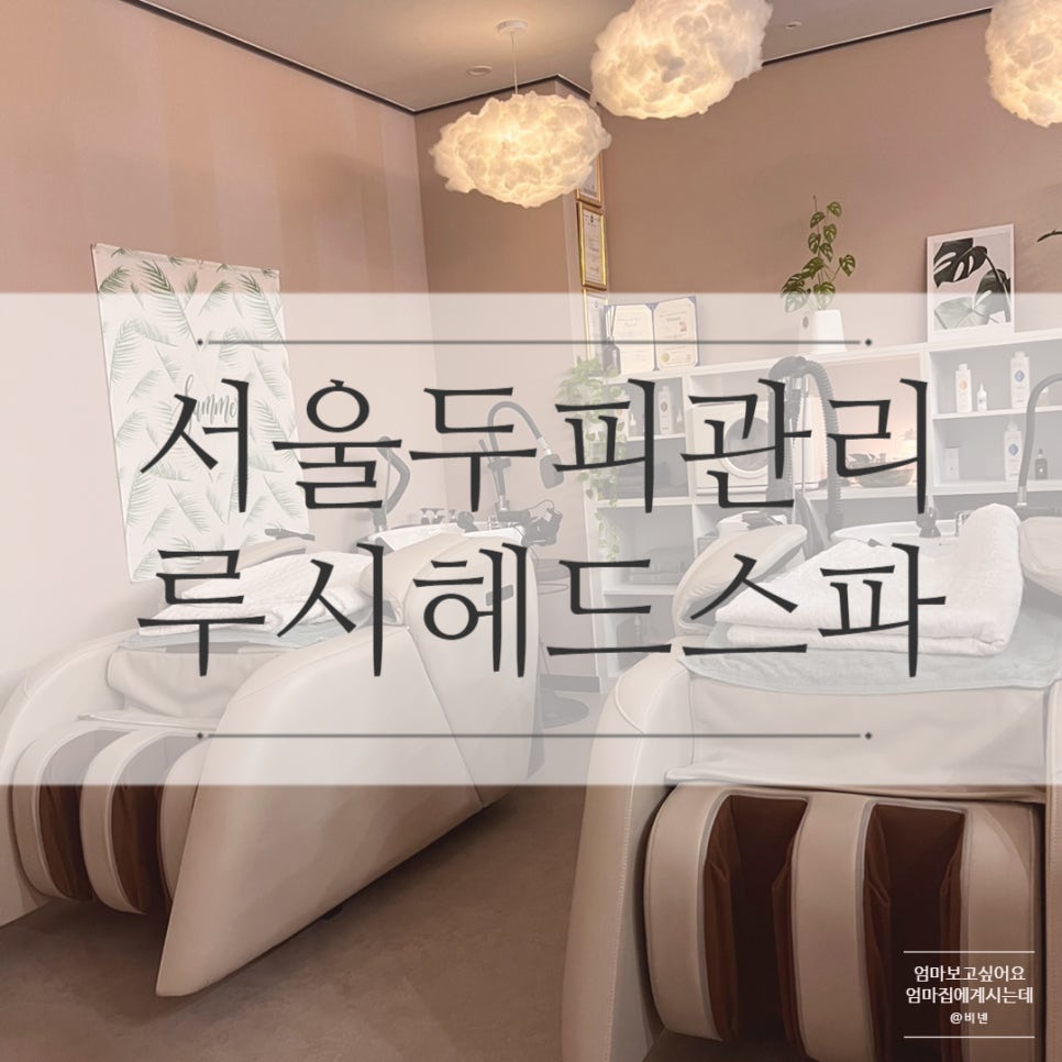 헤드스파루시 이미지