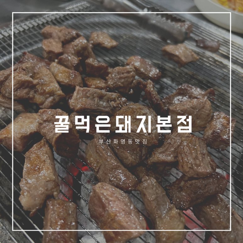 꿀먹은돼지 이미지