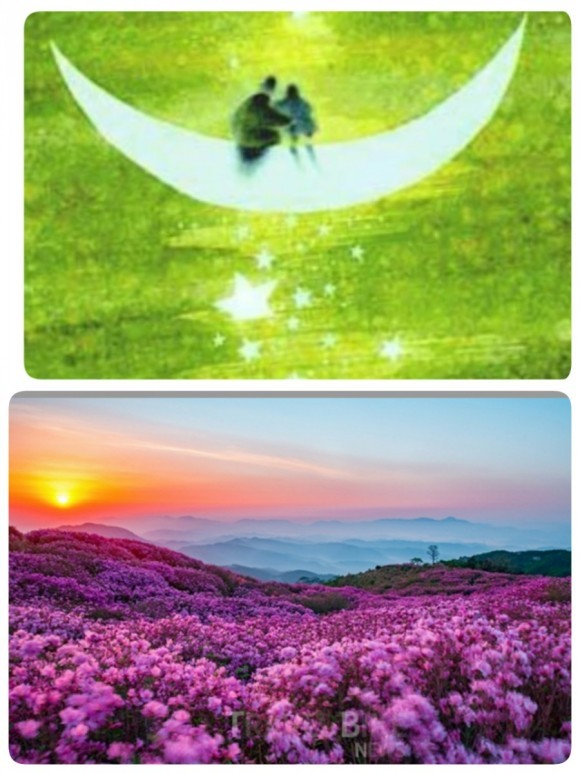 달님과별님 이미지