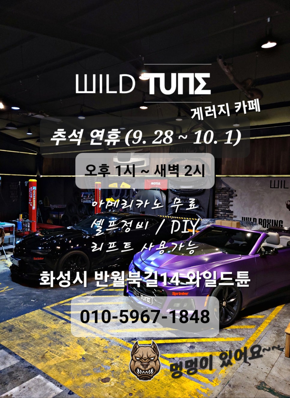 튠게러지 이미지
