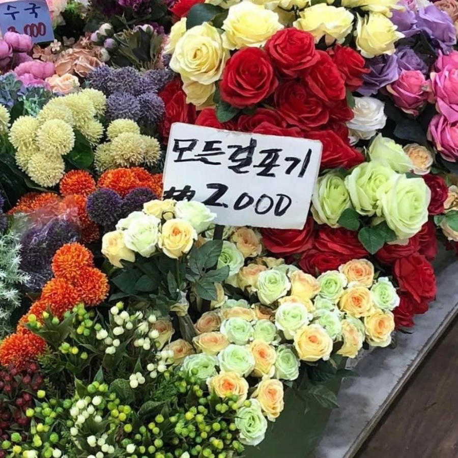 다휘 이미지