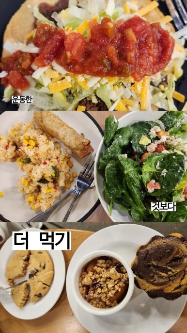 메이트카페테리아 이미지
