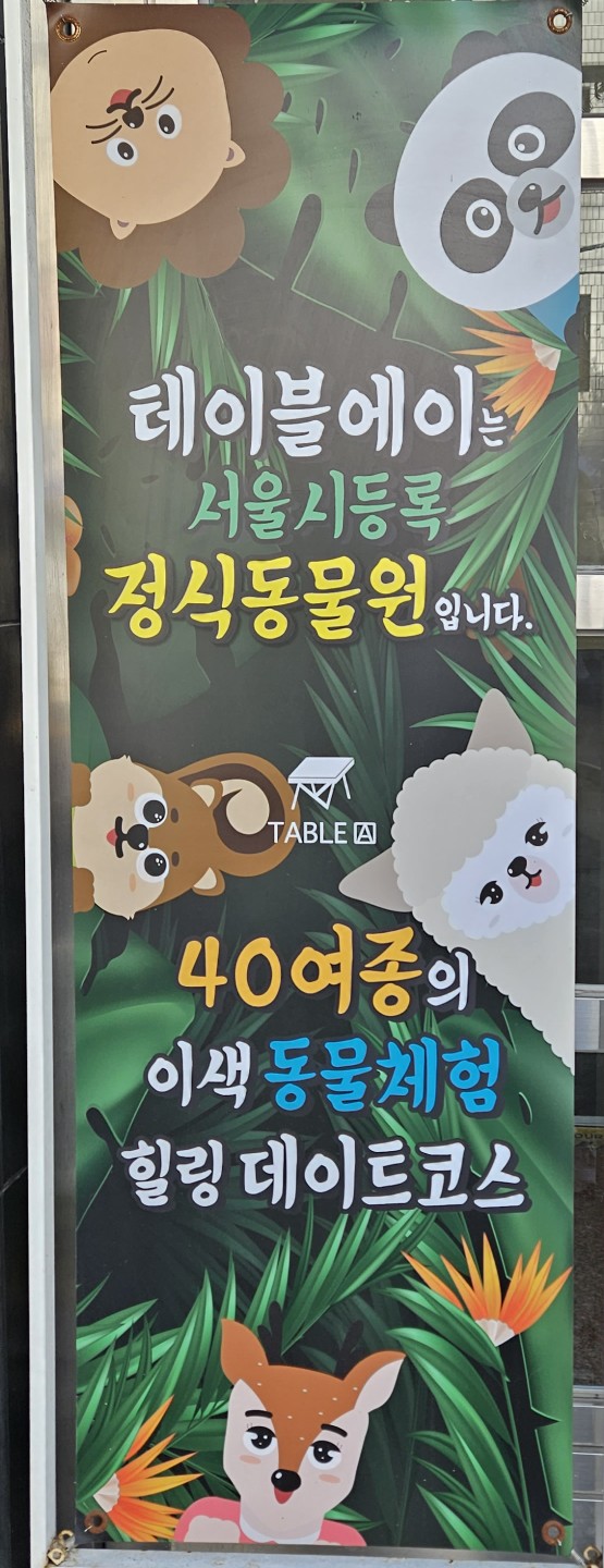 홍대 이색 데이트, 테이블에이 동물원 고양이와 교감 — 사진 4