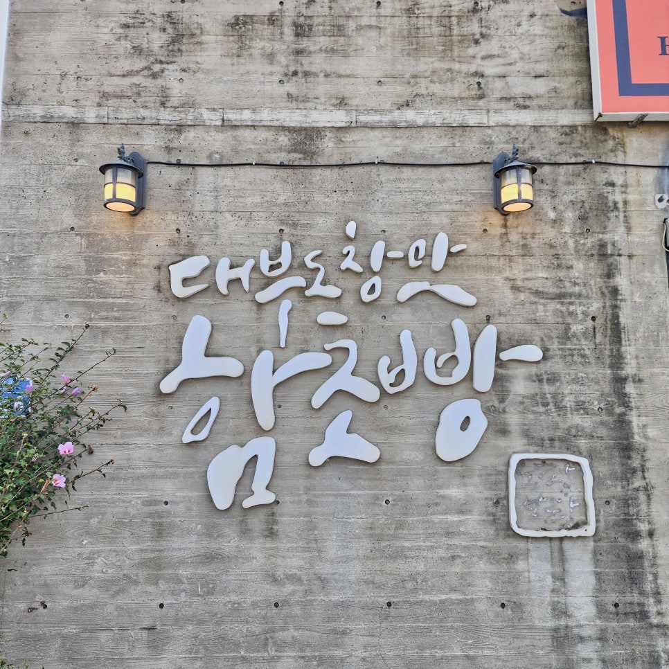 알로하피크닉&키즈카페 이미지