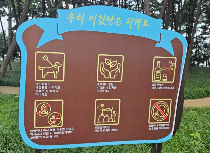송림대중 이미지