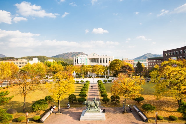 다빈치디자인(주) 이미지