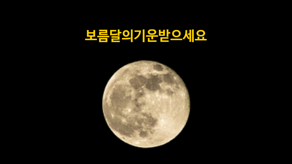 밝은행정사사무소 이미지