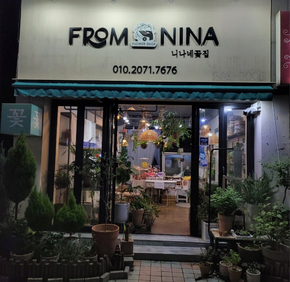 프롬니나 이미지