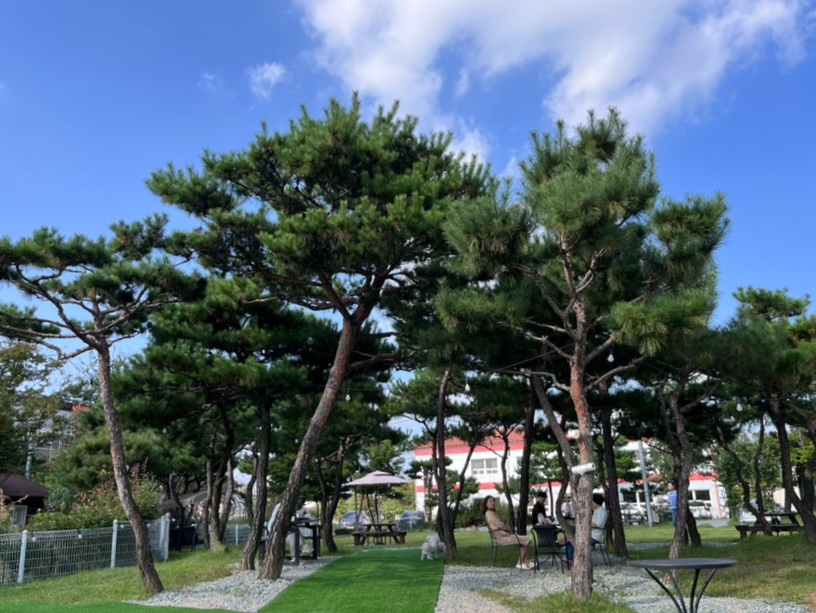카페예스엔젤 이미지
