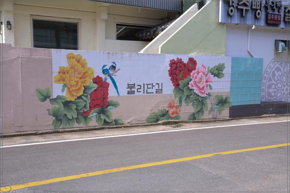 오메가메 이미지