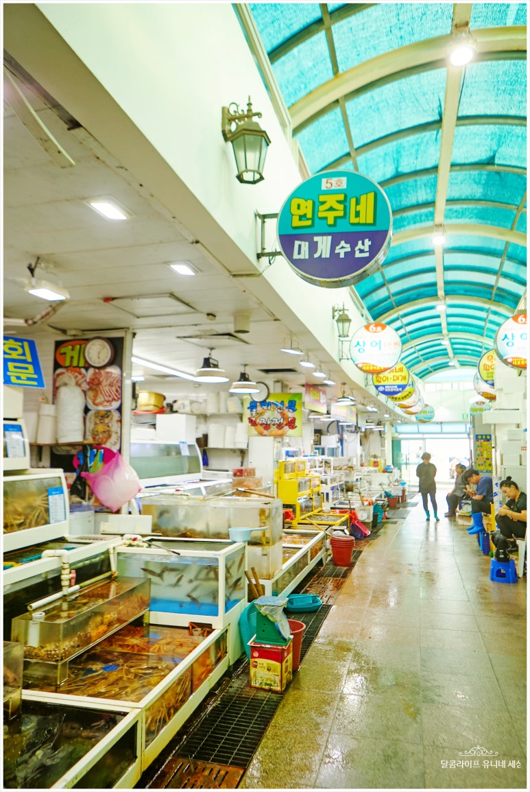 매일회대게시장 이미지