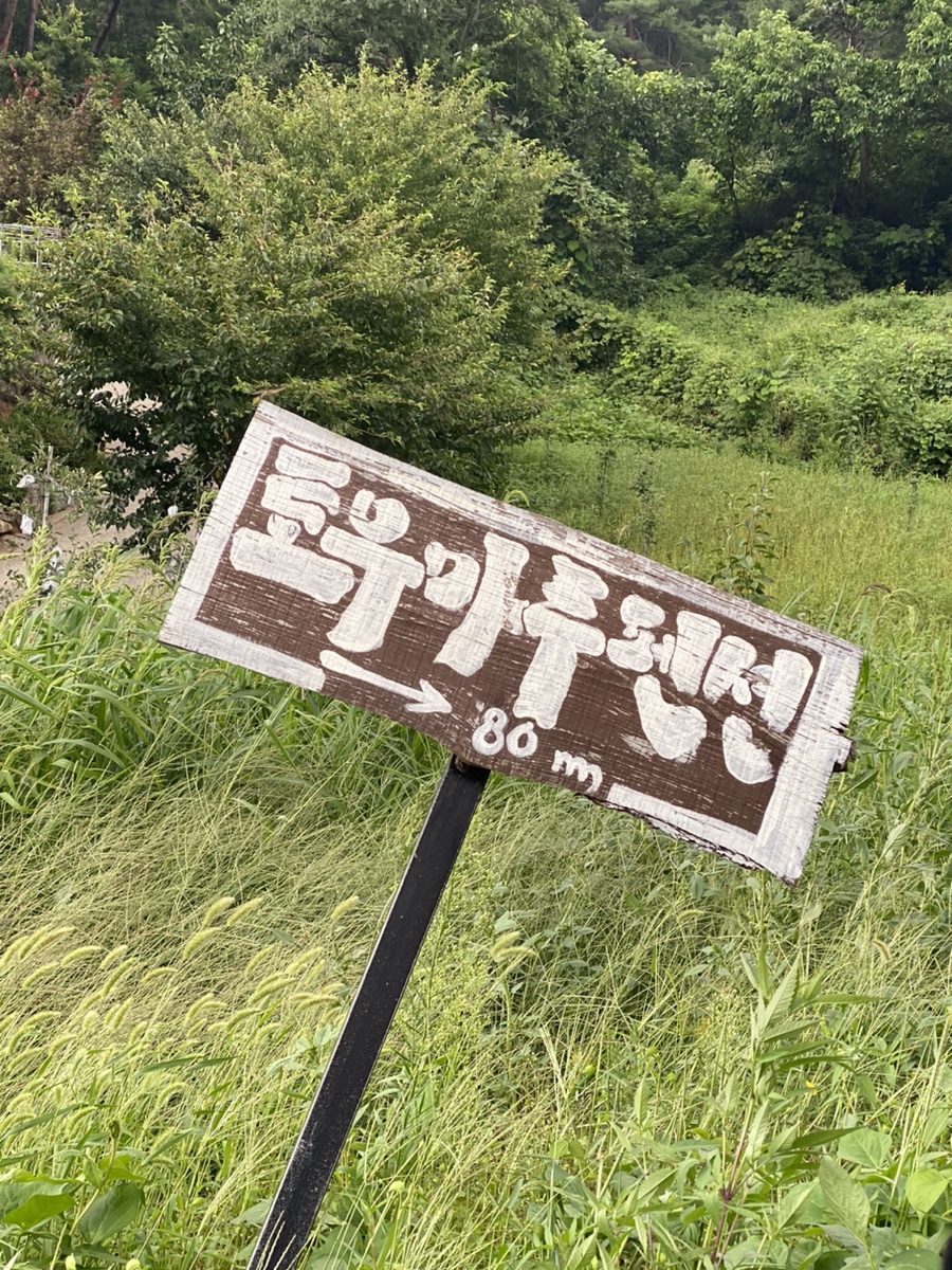 토우마루 이미지