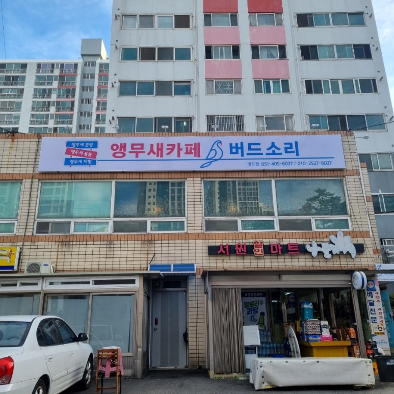 버드소리 영도점 이미지