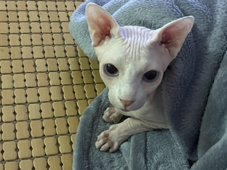 #끌리다 이미지