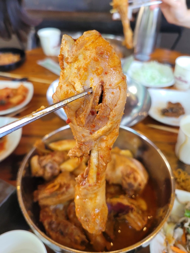 산골닭한마리 이미지