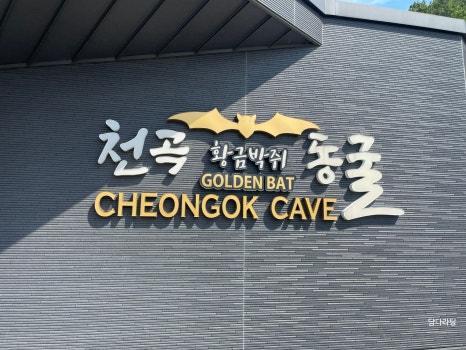 망고씨앤씨 이미지