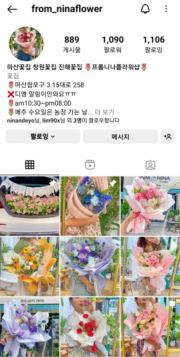 프롬니나 이미지
