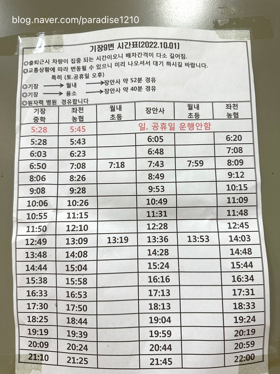 안나국수 이미지