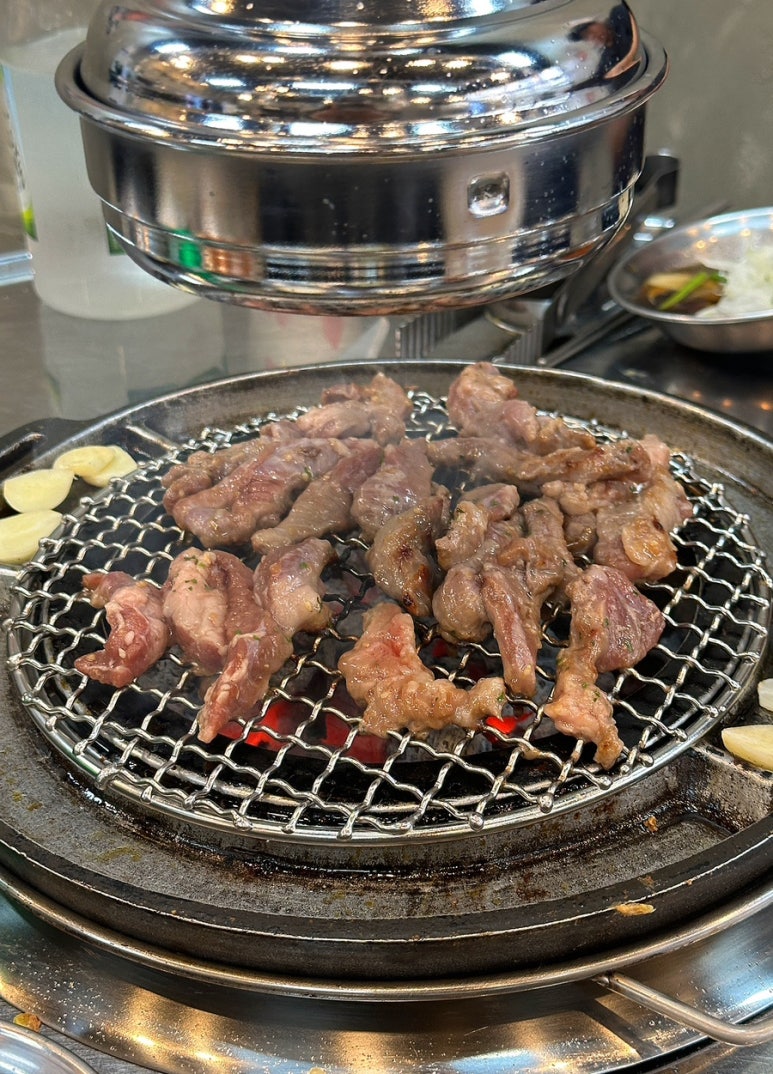돗배갈매기 이미지