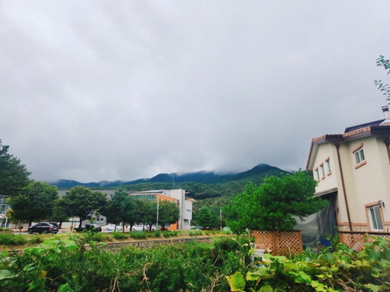 오늘애김밥포천일동점 이미지