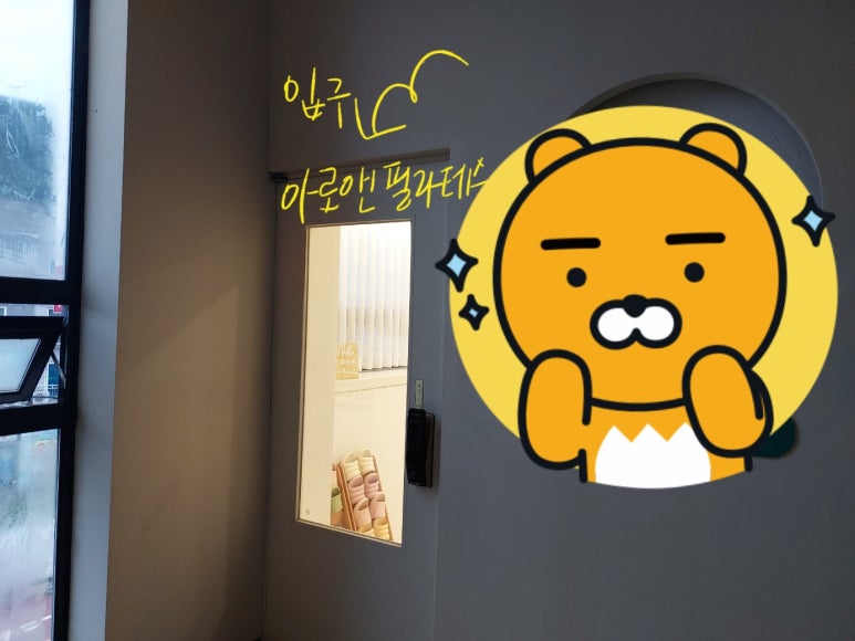 아로와앤아로와나 이미지