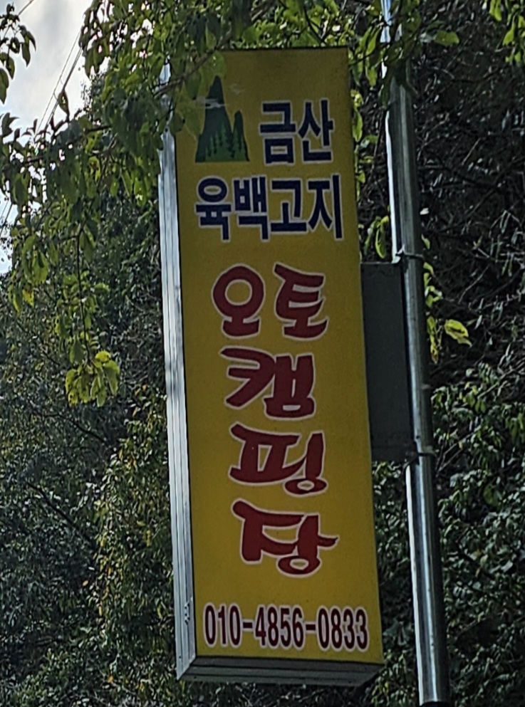 육백고지 캠핑장 이미지