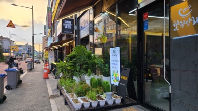 교촌치킨월평 이미지