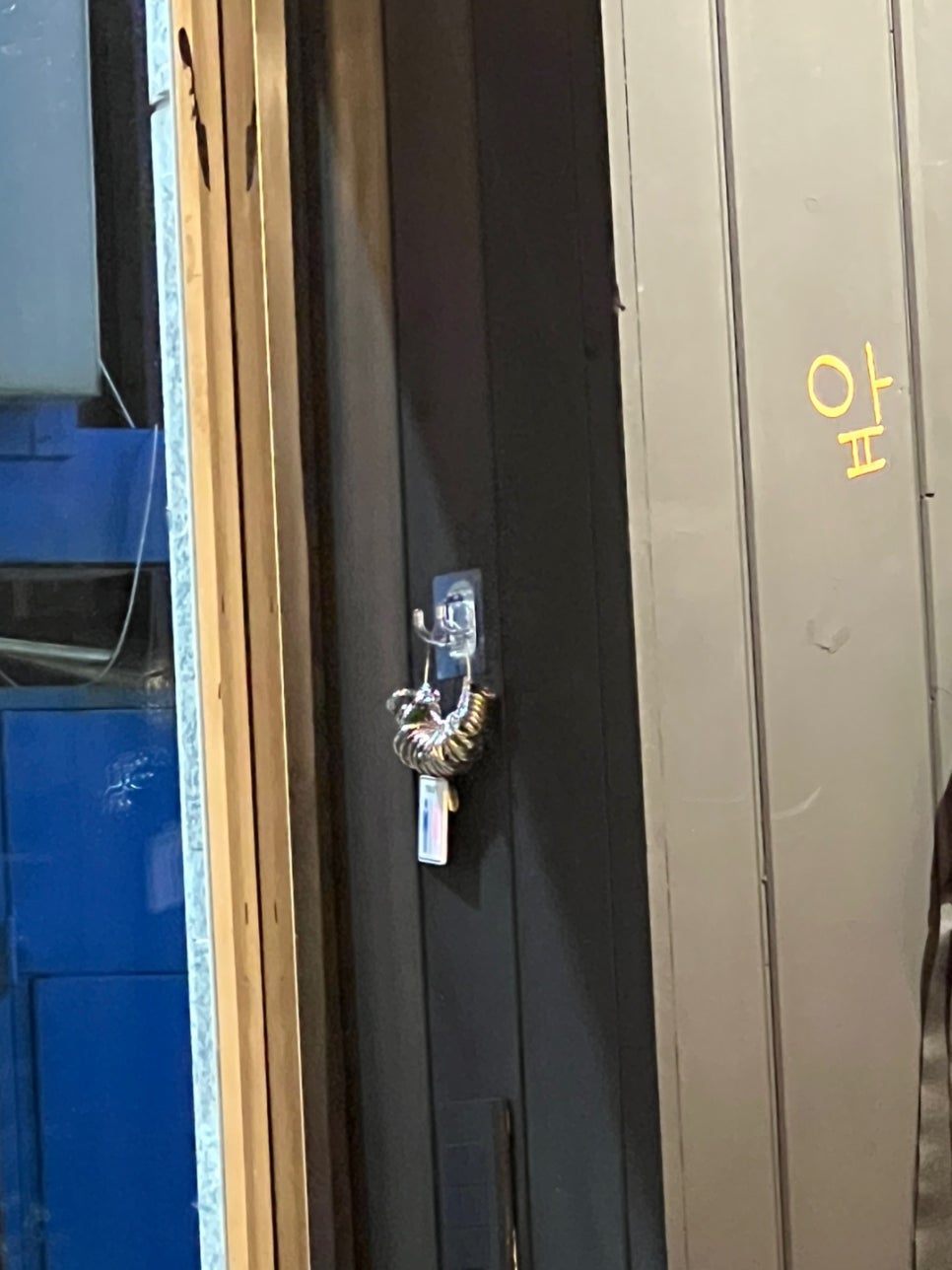 유신체육사 이미지