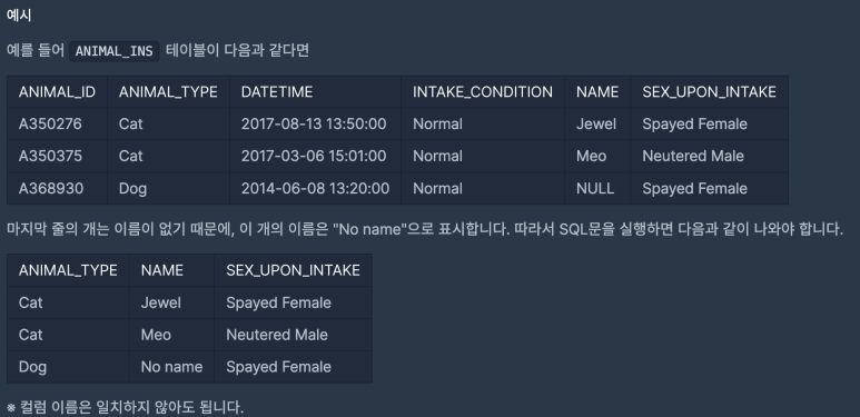 프머스 이미지