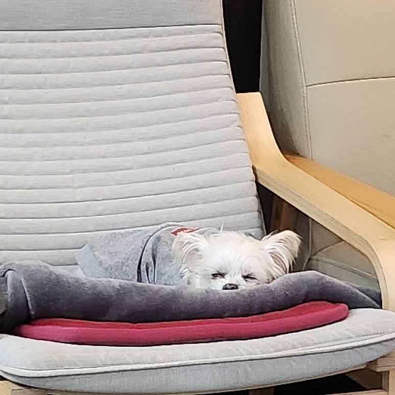 쏘이뷰티 이미지