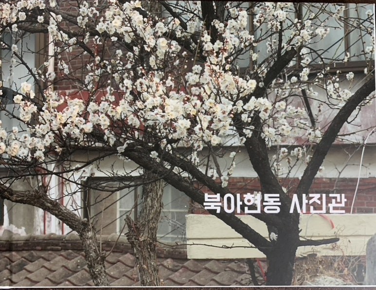 신용사진관 이미지