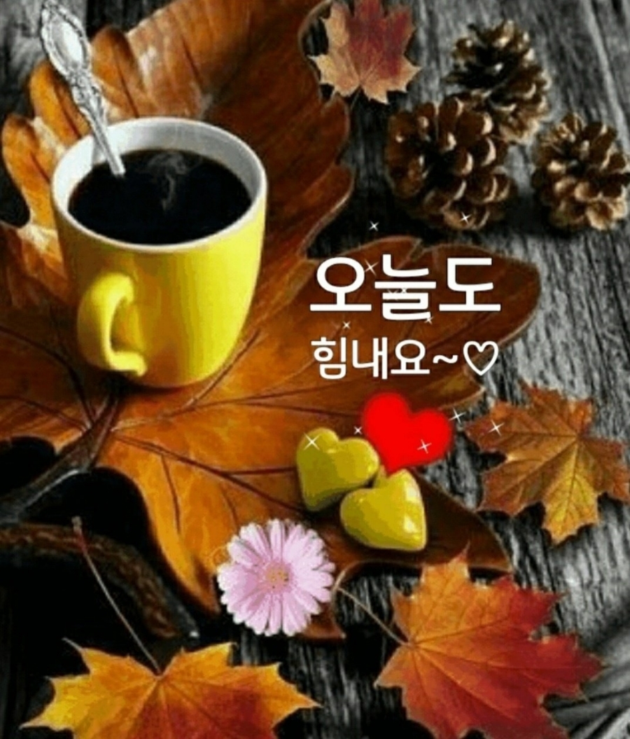화이트펜슬스터디카페부산당리점 이미지