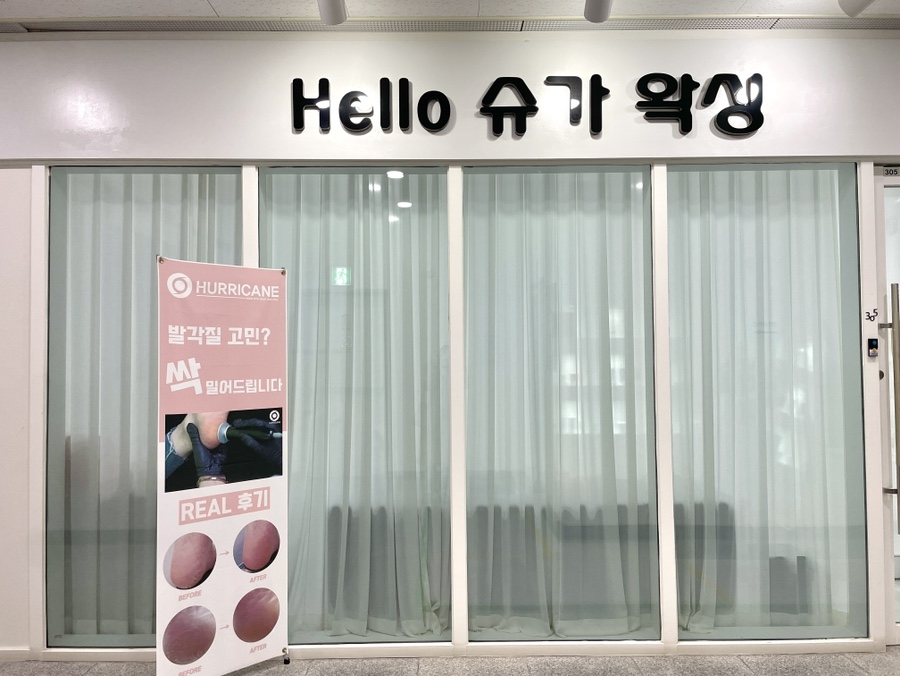 헬로슈가 이미지
