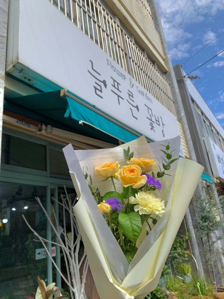 늘푸른꽃방 이미지