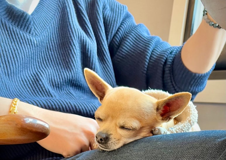 방아실와유 이미지