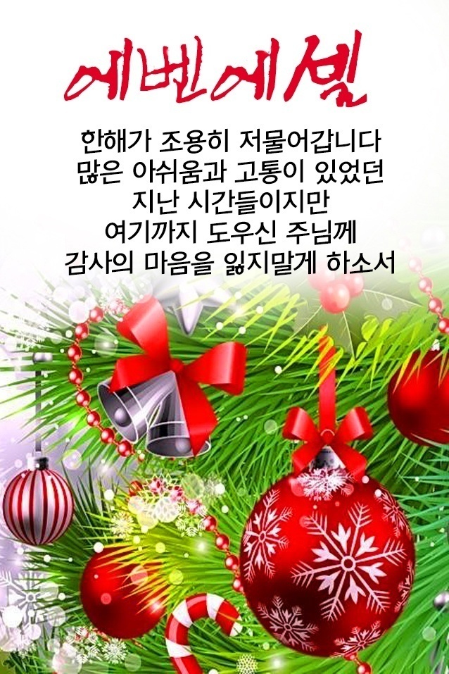 남일사 이미지