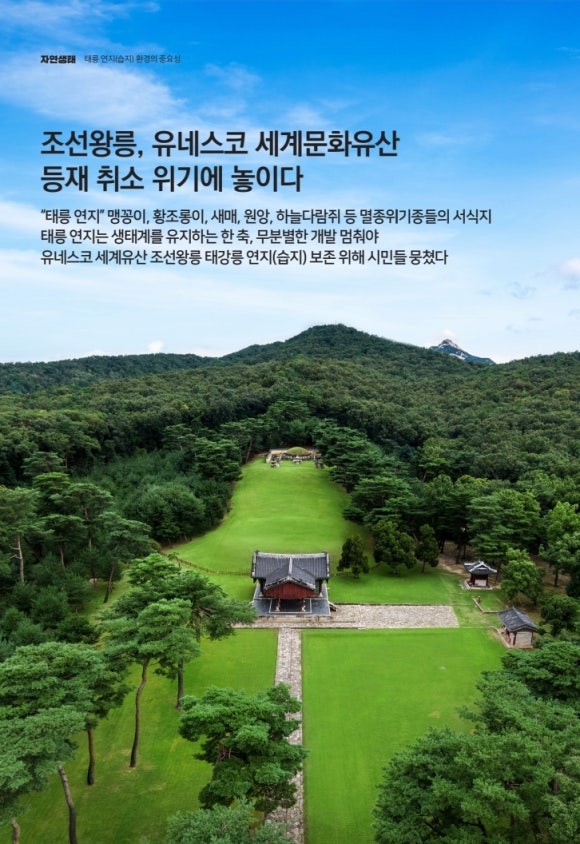 주태교육 이미지