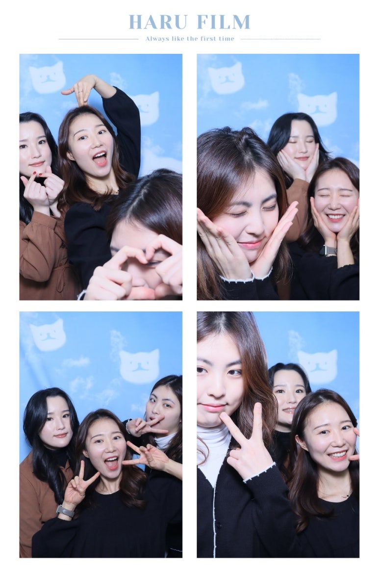 청솔매 이미지