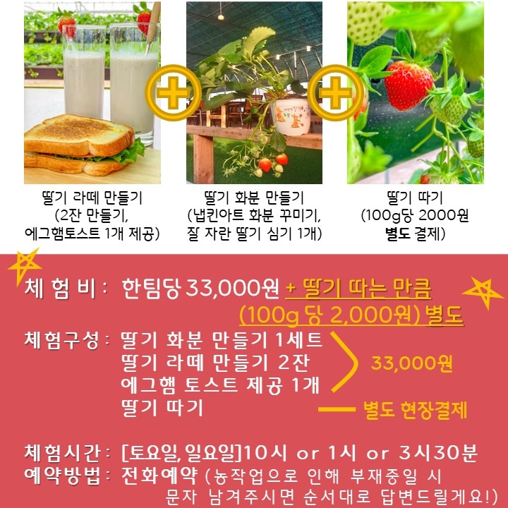 플렌비 이미지