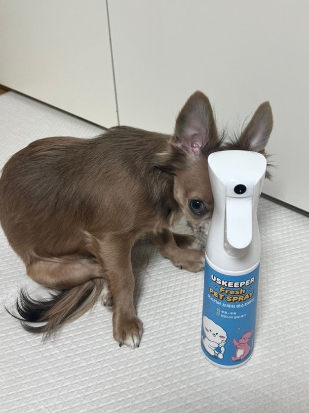 펫키퍼 이미지