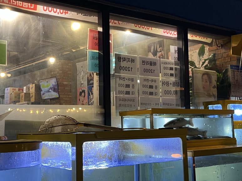 활어특별시 이미지