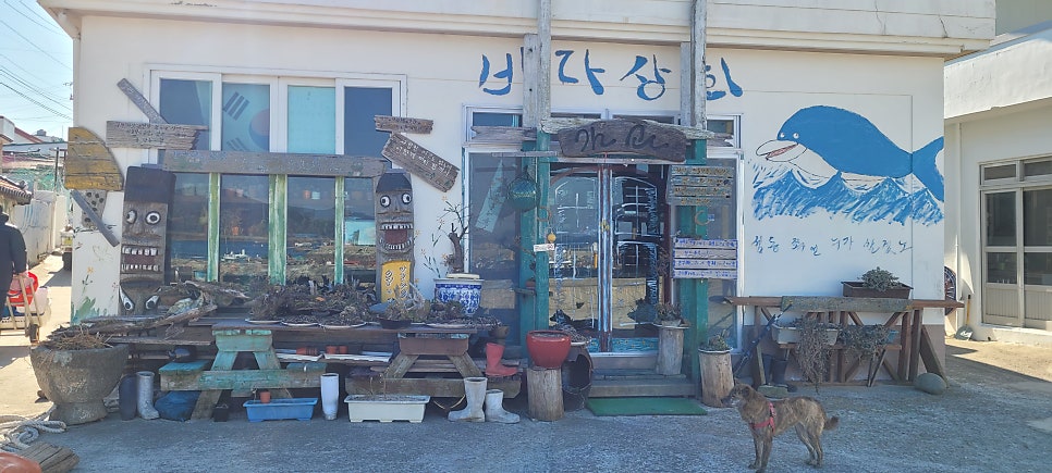 소나무숲식당 이미지