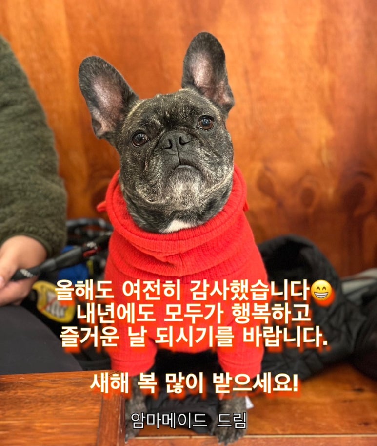 암마메이드 이미지