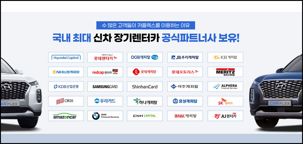 카플렉스 이미지