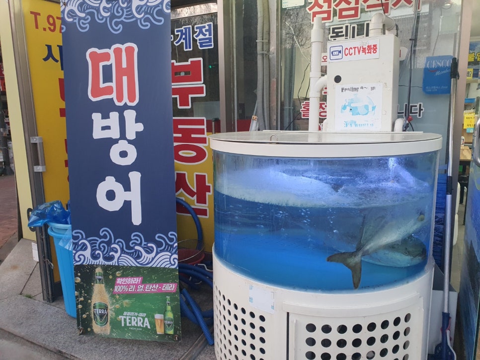 동화수산 이미지